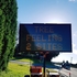 Sideswipe: May 28: What are trees feeling?